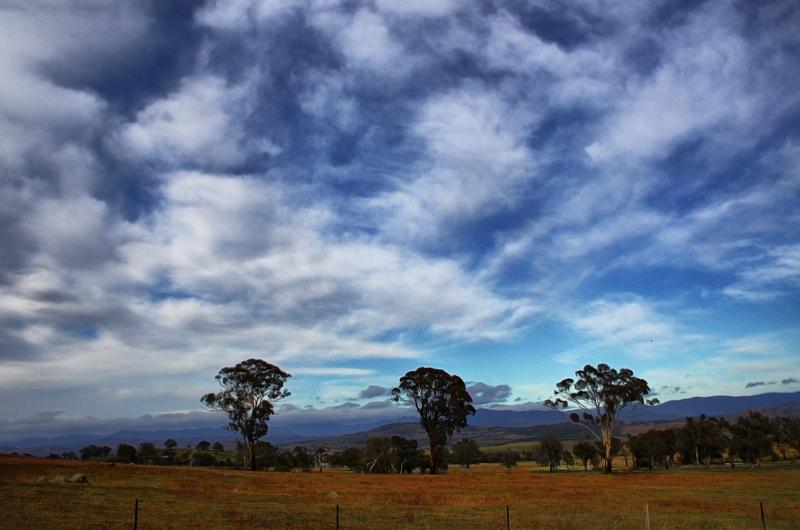 hdr paddocks.jpg